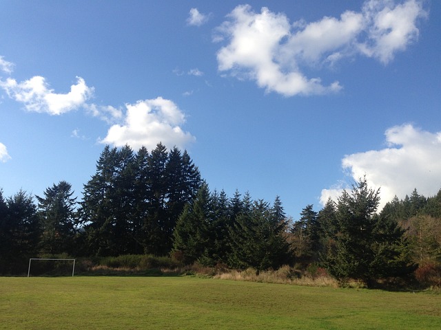 籃板
