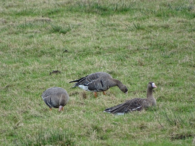 尤其是在网 尤其是在网