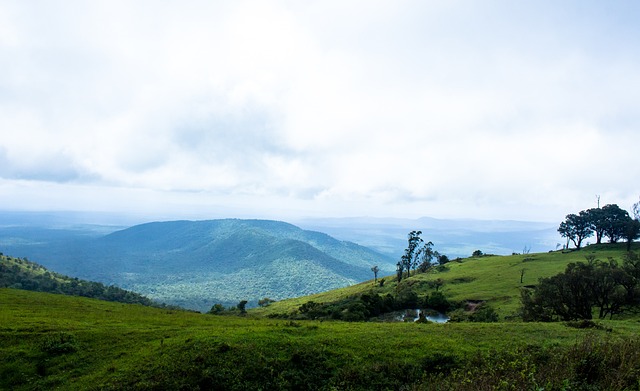 活动传达的 活动传达的