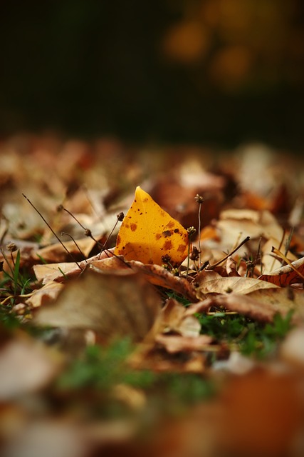 不仅仅是一 不仅仅是一