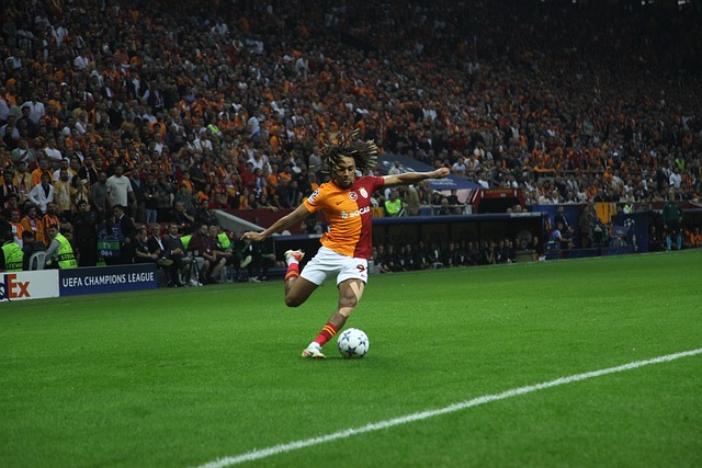 引人关注的 引人关注的