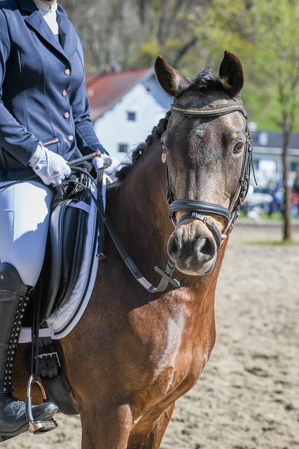 再次强调了 再次强调了