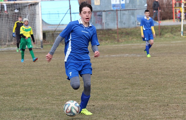 仅在体能和 仅在体能和