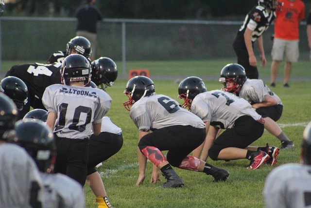 十年内能够 十年内能够