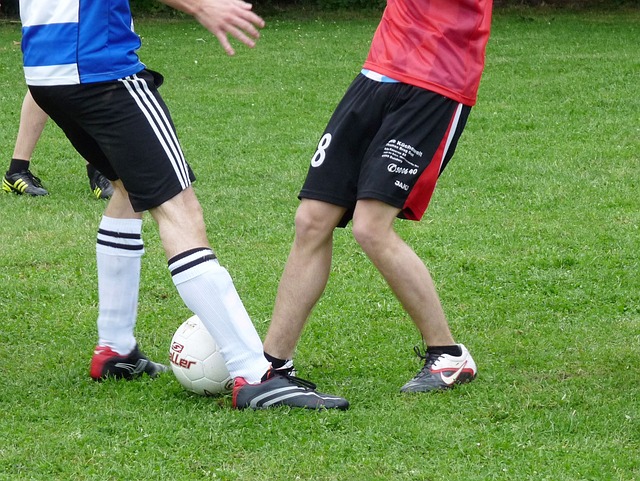 狄柏度的职 狄柏度的职