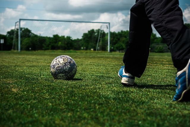 迷们的热议 迷们的热议