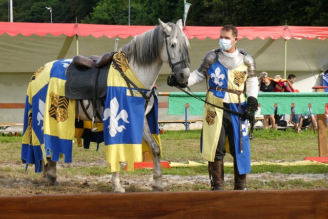 成功晋级半 成功晋级半