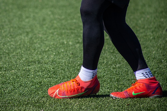 我们可以看 我们可以看