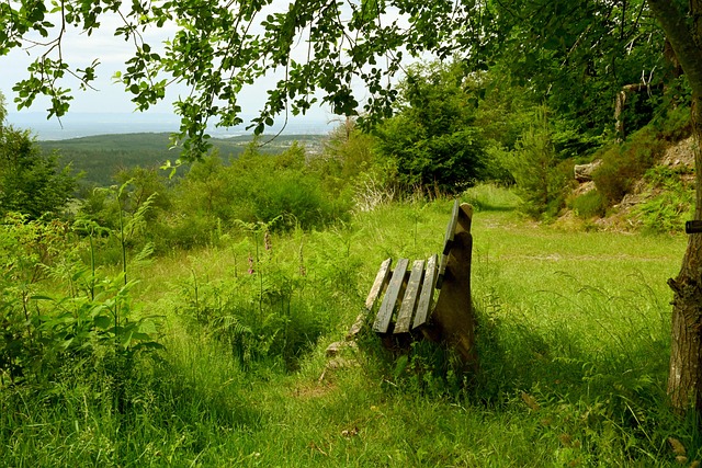点与短板剖 点与短板剖