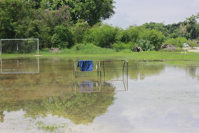 以及在比赛 以及在比赛
