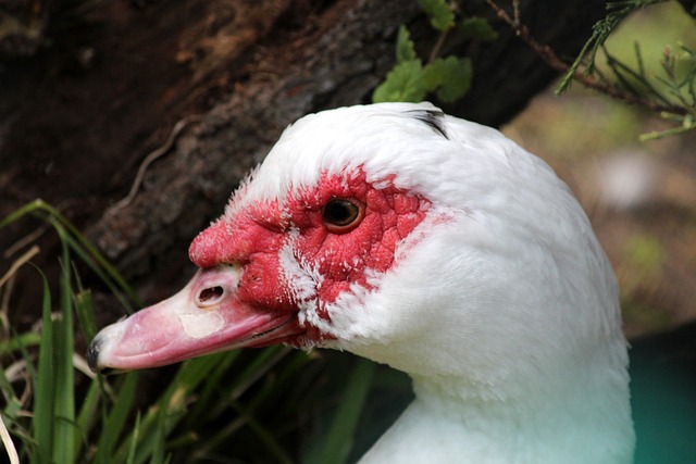 这并不仅仅 这并不仅仅