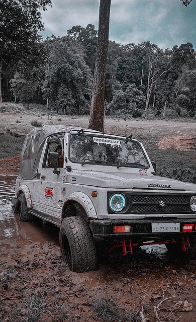 和卓越的视 和卓越的视